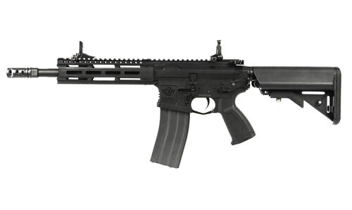 CM16 RAIDER 2.0 G&G (EGC-16P-R20-BNB-NCM)