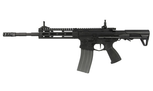 AEG CM16 RAIDER 2.0E LONG G&G (EGC-16P-R2E-BNB-NCM) - G03203