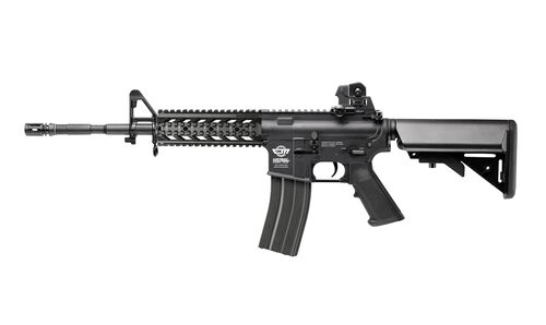 AEG CM16 Raider-L G&G (EGC-16P-RDL-BNB-NCM) - 0187099