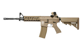 AEG CM16 Raider-L DST G&G (EGC-16P-RDL-DNB-NCM)